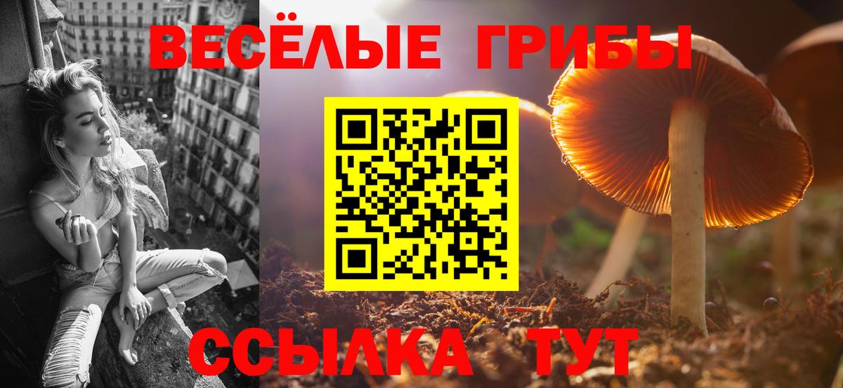 Волхов  Галлюциногенные грибы мицелий  Галлюциногенные грибы Psilocybine cubensis  Вход с VPN 