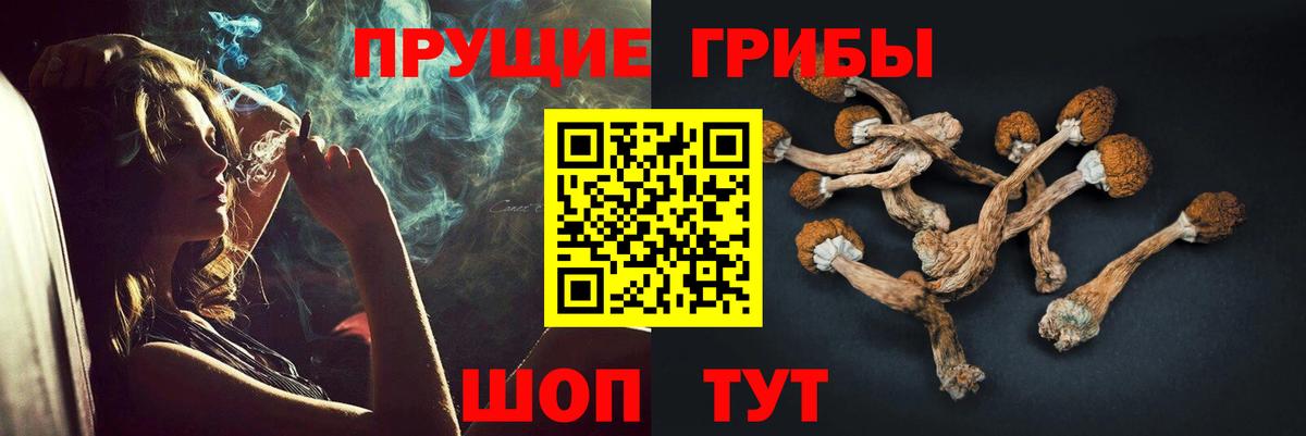 Псилоцибиновые грибы мицелий Волхов